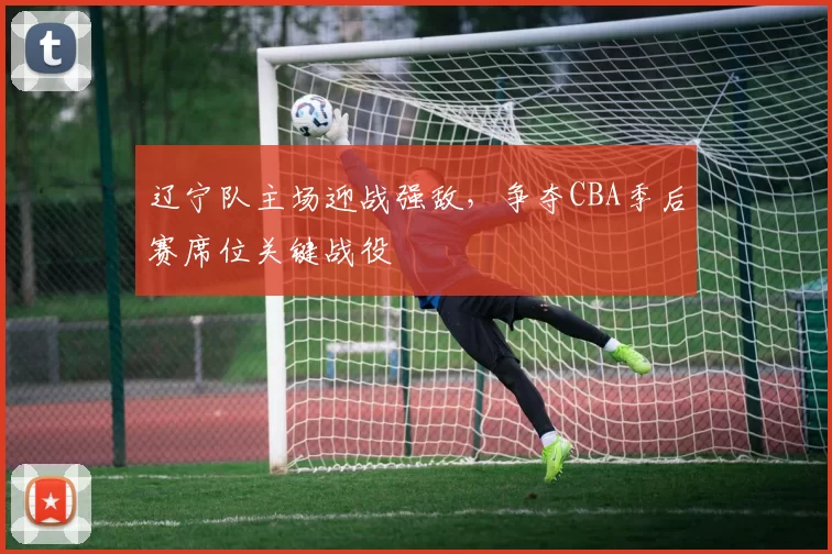 辽宁队主场迎战强敌，争夺CBA季后赛席位关键战役