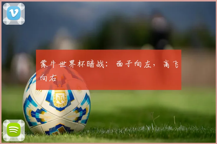 蒙牛世界杯暗战:面子向左,高飞向右
