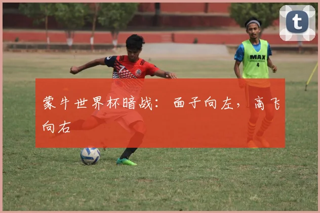 蒙牛世界杯暗战：面子向左，高飞向右