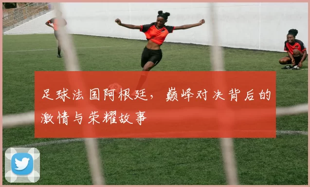 足球法国阿根廷，巅峰对决背后的激情与荣耀故事